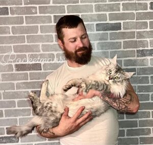 Our Stud Alinkiss Desert aka Yeti. He is a Black Silver Spotted Tabby male Maine Coon