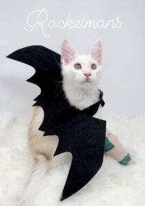Tyrion wearing a bat costume