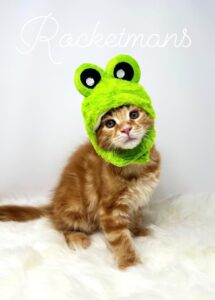 Tormund wearing a frog costume