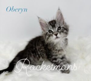 Oberyn